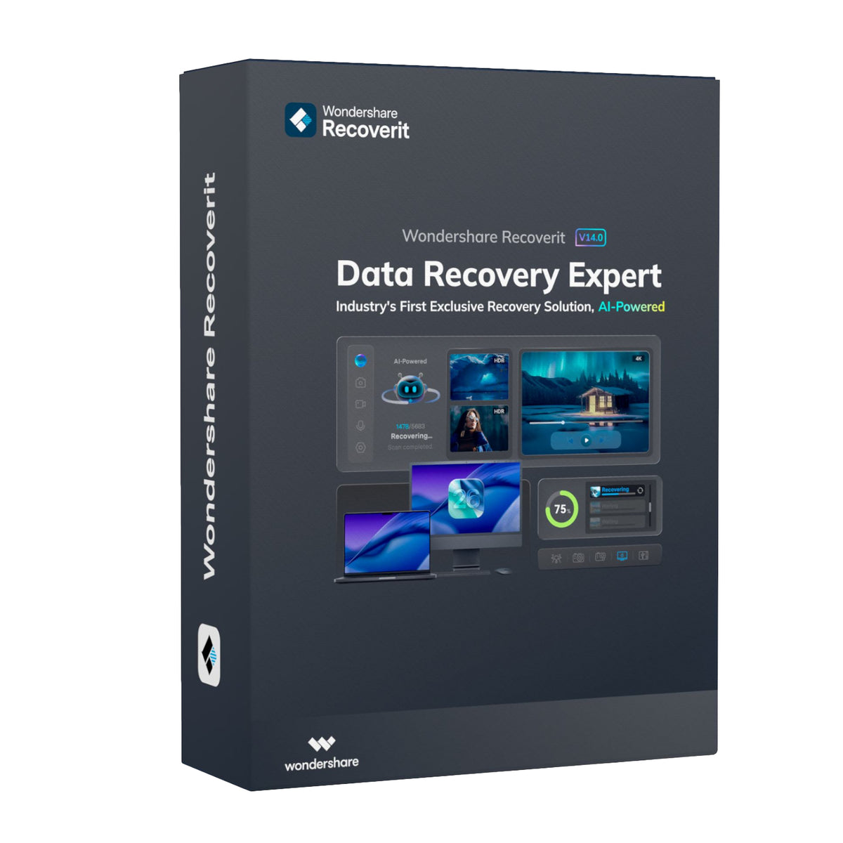 Wondershare Recoverit Data Recovery Expert for MacOS Individual