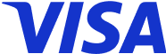 Visa payment icon